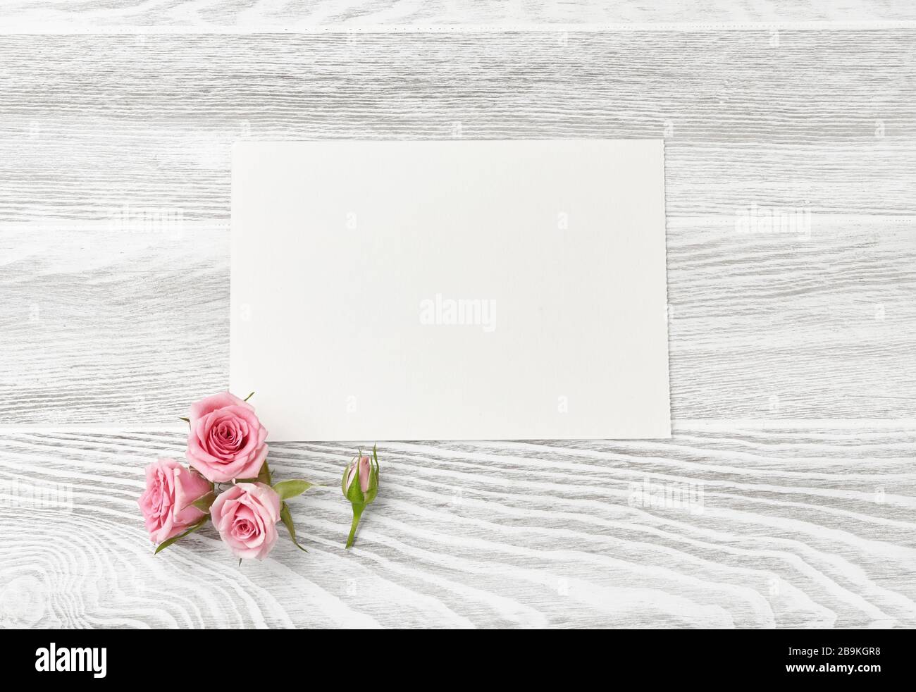 Carta in foglio bianco con fiori di rosa su sfondo di legno bianco con spazio per la copia per il disegno, il testo. Vista dall'alto delle rose rosa e delle rose. Foto Stock