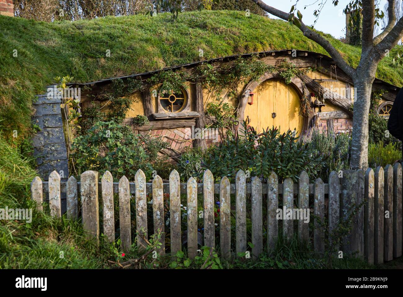 La luce serale illumina la porta rotonda gialla di un buco di hobbit al set di film di Hobbiton, Nuova Zelanda Foto Stock