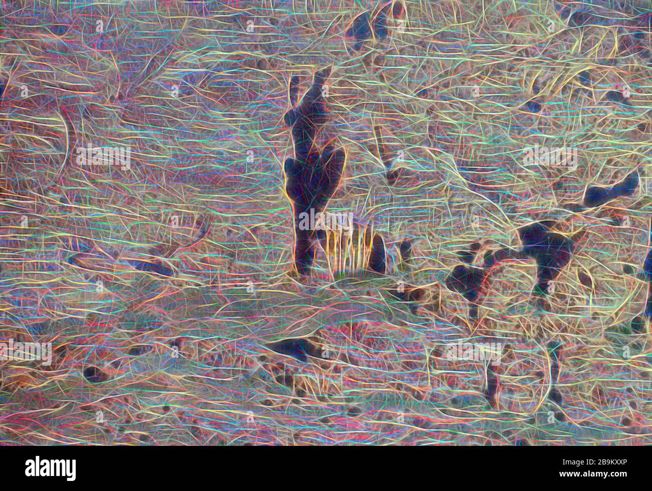 Petra, Monte Hor e Akabah. Petra Mountain Ridge, Monte Seir. Gen. 145-6, 323. 1950, Giordania, Petra (città Foto Stock
