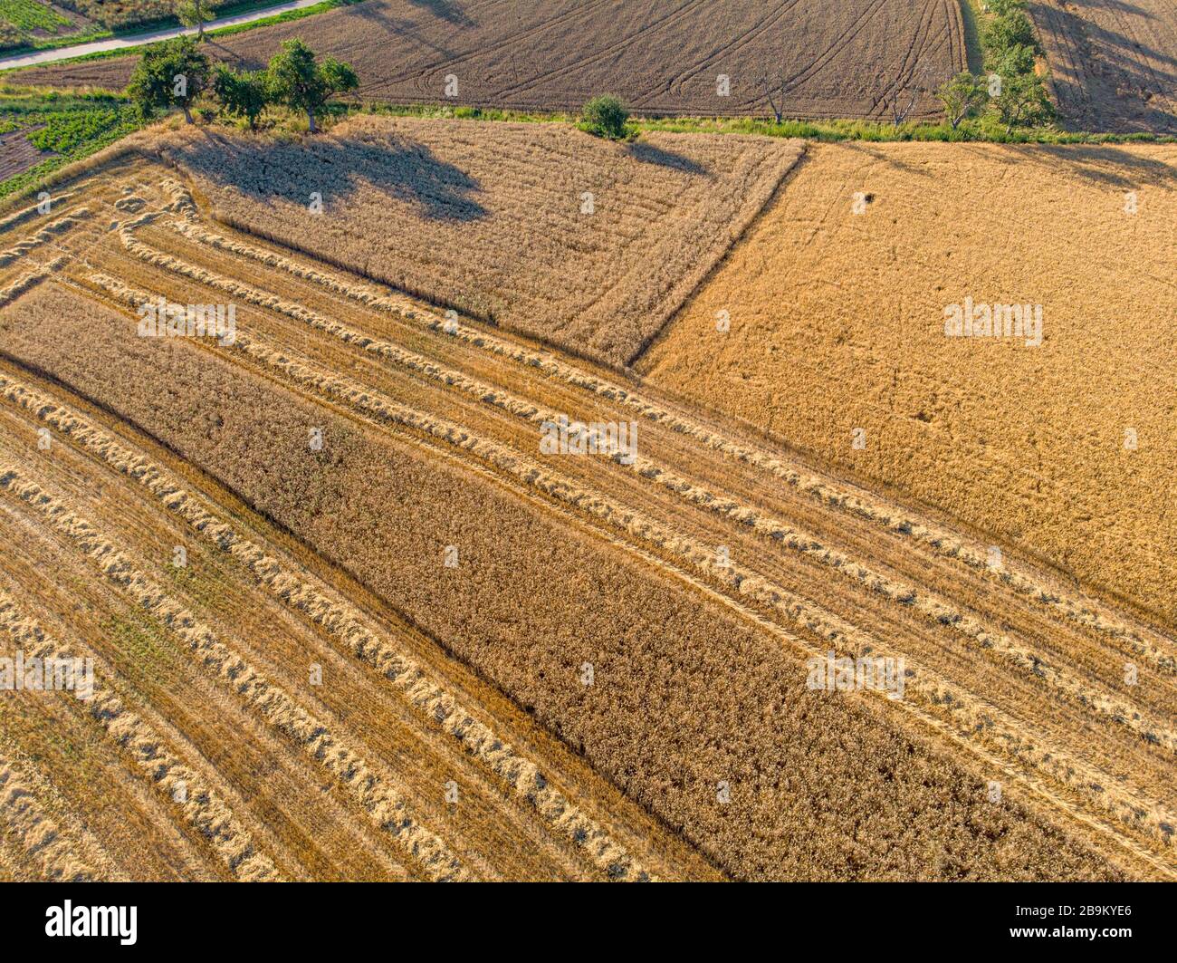 Daußen in unserer wunderschönen Natur Foto Stock