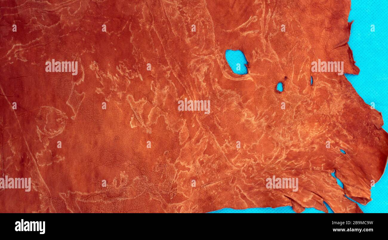 Un bel look afflitto utilizzando colori complementari di lava lussureggiante e di acqua menthe su un po 'imperfettito e raggrinzito pelle di alce splendidamente modellato. Foto Stock