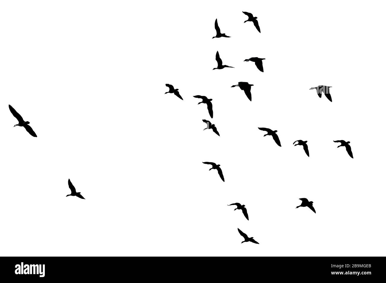 Burton Mere RSPB Reserve Foto Stock