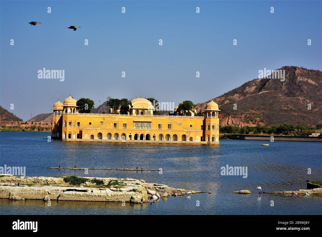 Jal Mahal storico, vale a dire acqua palazzo nel mezzo di Man Sagar Lake, Jaipur, Rajasthan, India Foto Stock