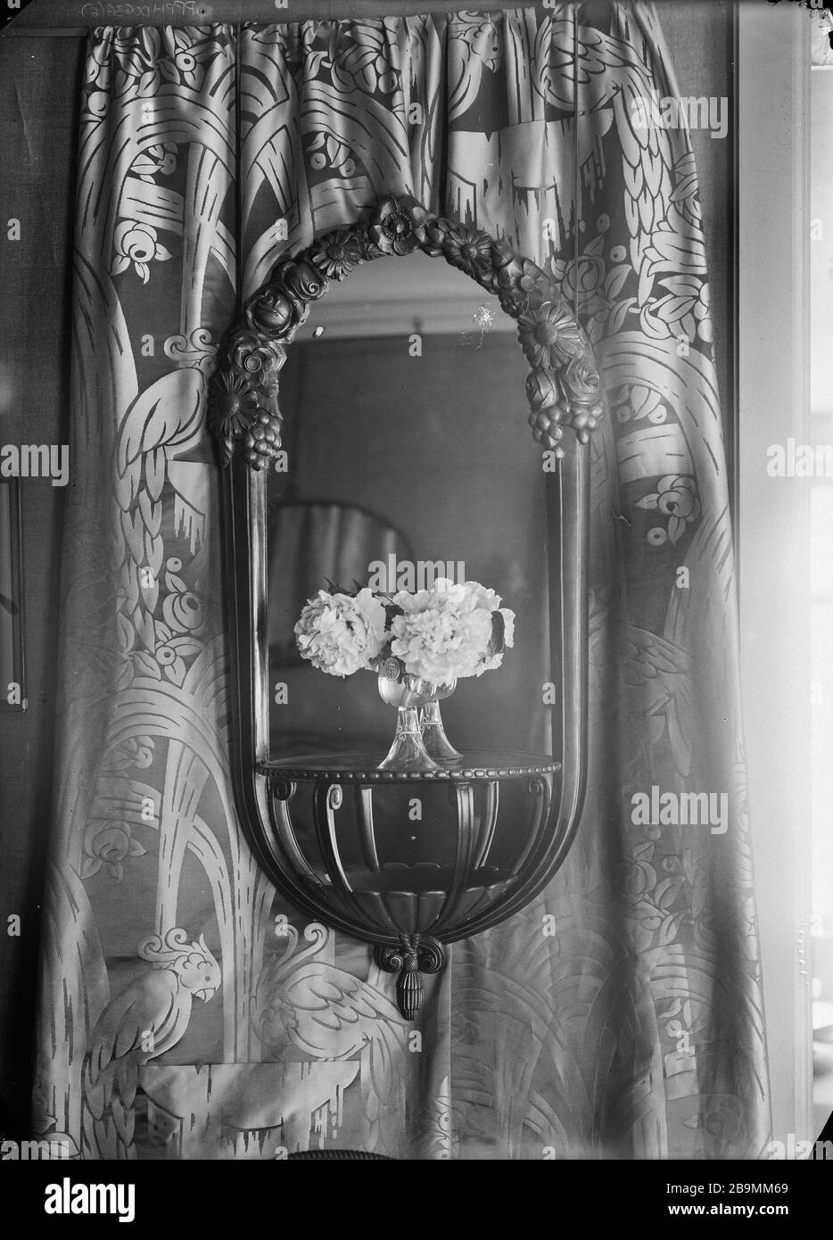 Fiori Anonyme. Mobilier. 'fleurs'. négatif à l'iodo-bromure d'argent sur plaque de verre. 1900-1930. Musée des Beaux-Arts de la Ville de Paris, Petit Palais. Foto Stock