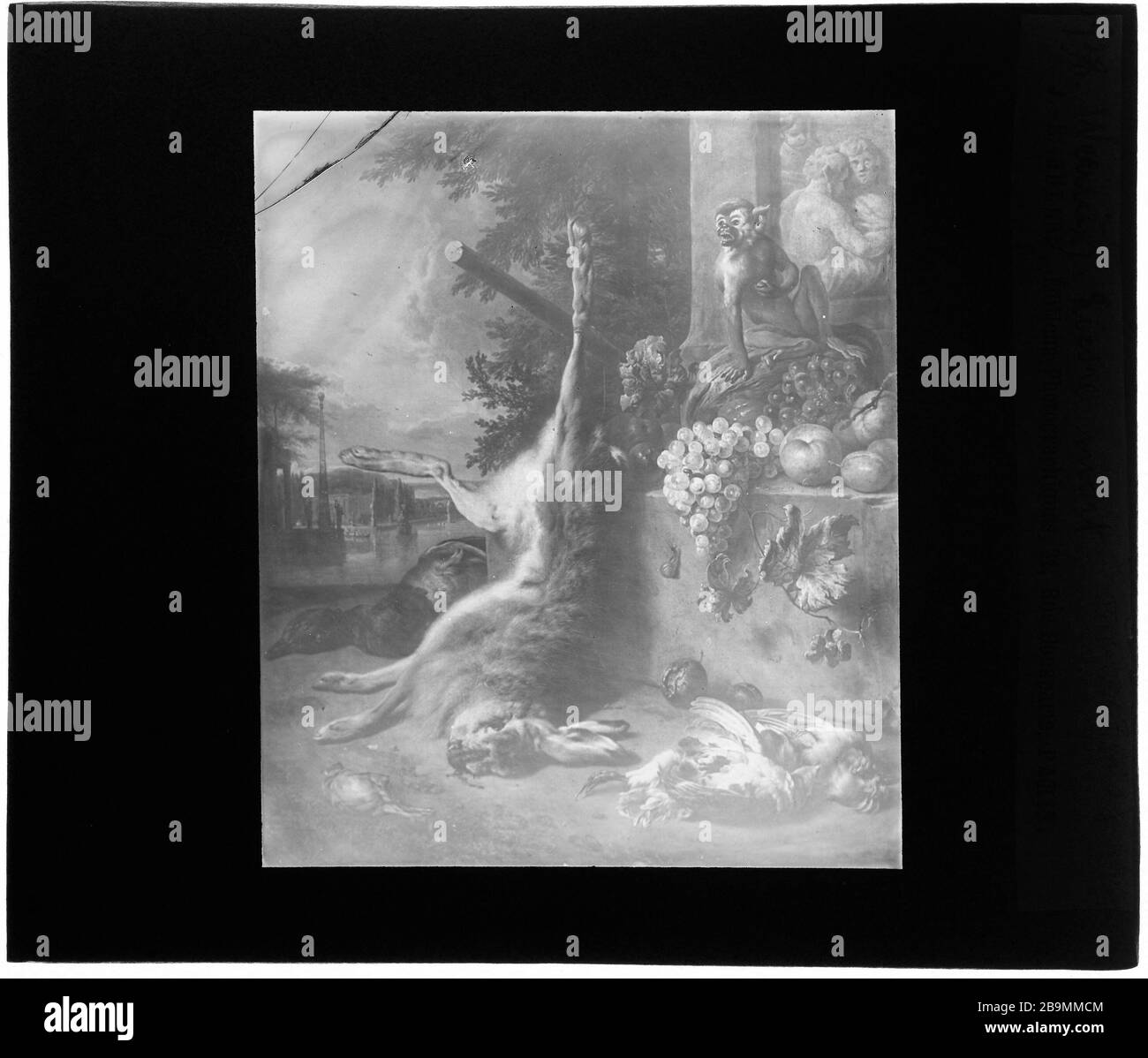 Gambe e Eugene Auguste Dutuit. Dipinti olandesi. Weemix, Leoni Dead Hare Eugène et Auguste Dutuit. Sbucciature di peinture. 'Weemix, Lièvre mort'. Plaque de Projection noir et blanc. Photographie de Jacques Ernest Bulloz (1858-1942), 1900-1930. Musée des Beaux-Arts de la Ville de Paris, Petit Palais. Foto Stock