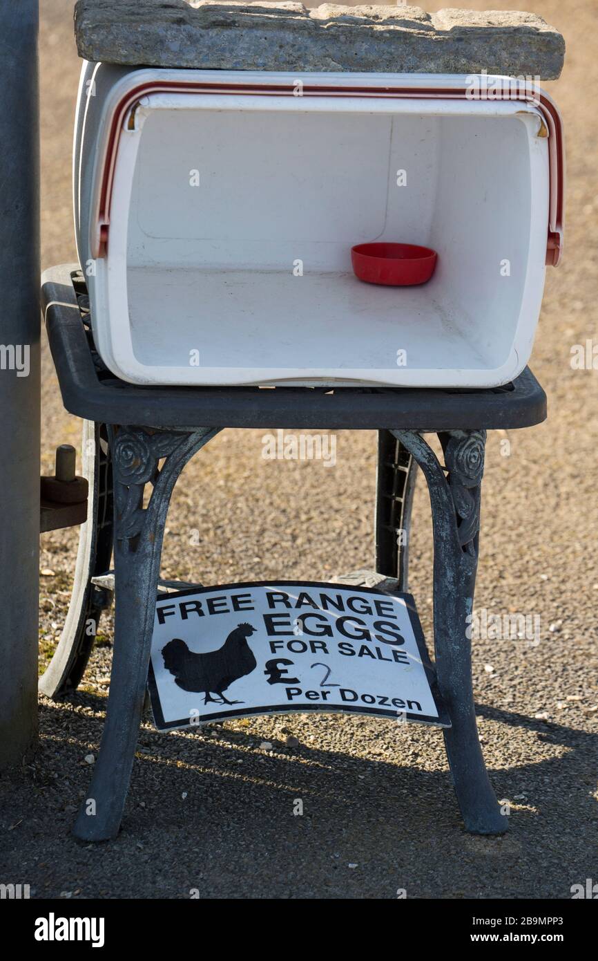 Un cartello a lato di una strada fuori da una casa che indica uova in vendita durante l'epidemia di Coronavirus nel Regno Unito, che ha visto la diffusa sequestro di cibo Foto Stock