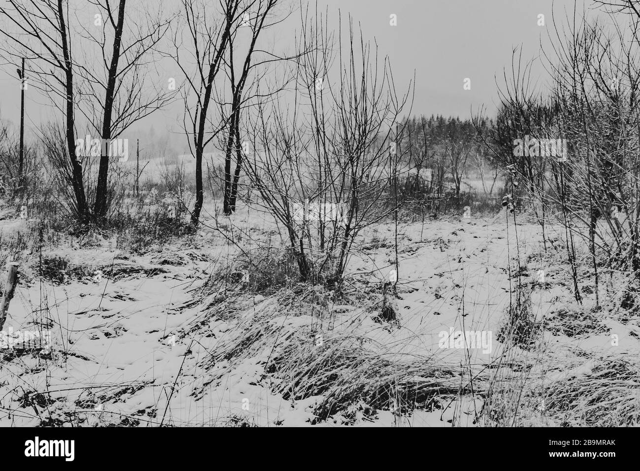 Wetlina nei Monti Bieszczady in Polonia Foto Stock