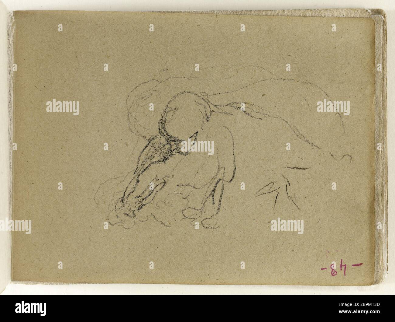studio felino (p. 48 del pattino). Jean-Baptiste Carpeaux (1827-1875). Etude de félin (p. 48 du carnet de croquis). Dessin, 1871. Musée des Beaux-Arts de la Ville de Paris, Petit Palais. Foto Stock
