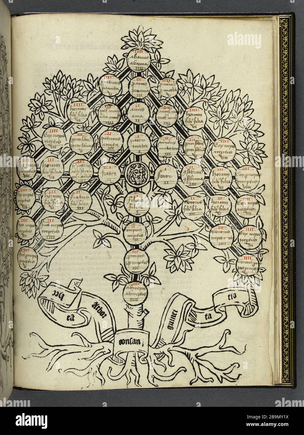 CONSUETUDINE GRAND NORMANDY 'le Grand Coutumier de Normandie'. Parigi, Jean Dupré, 1483. Musée des Beaux-Arts de la Ville de Paris, Petit Palais. Foto Stock