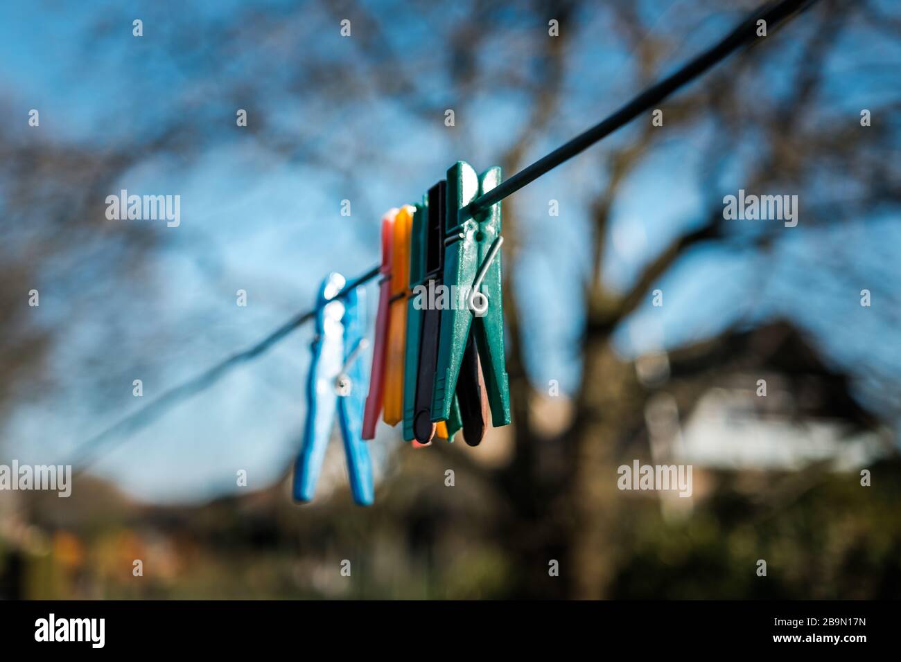 sei clothespins appesi su una linea con un albero blurry nello sfondo Foto Stock