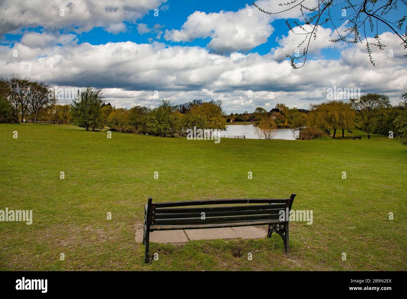 Panchina per vedere la bellezza di Swanley Park e del lago Foto Stock