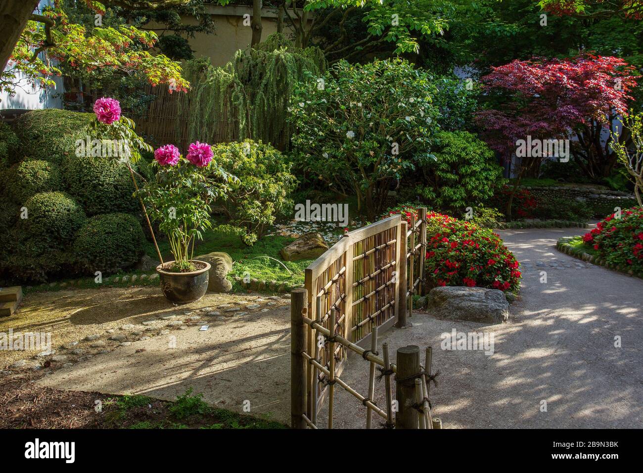 Idilliaco giardino giapponese a Parigi (Albert-Kahn giardino) - natura idilliaca in primavera (maggio 6) Foto Stock