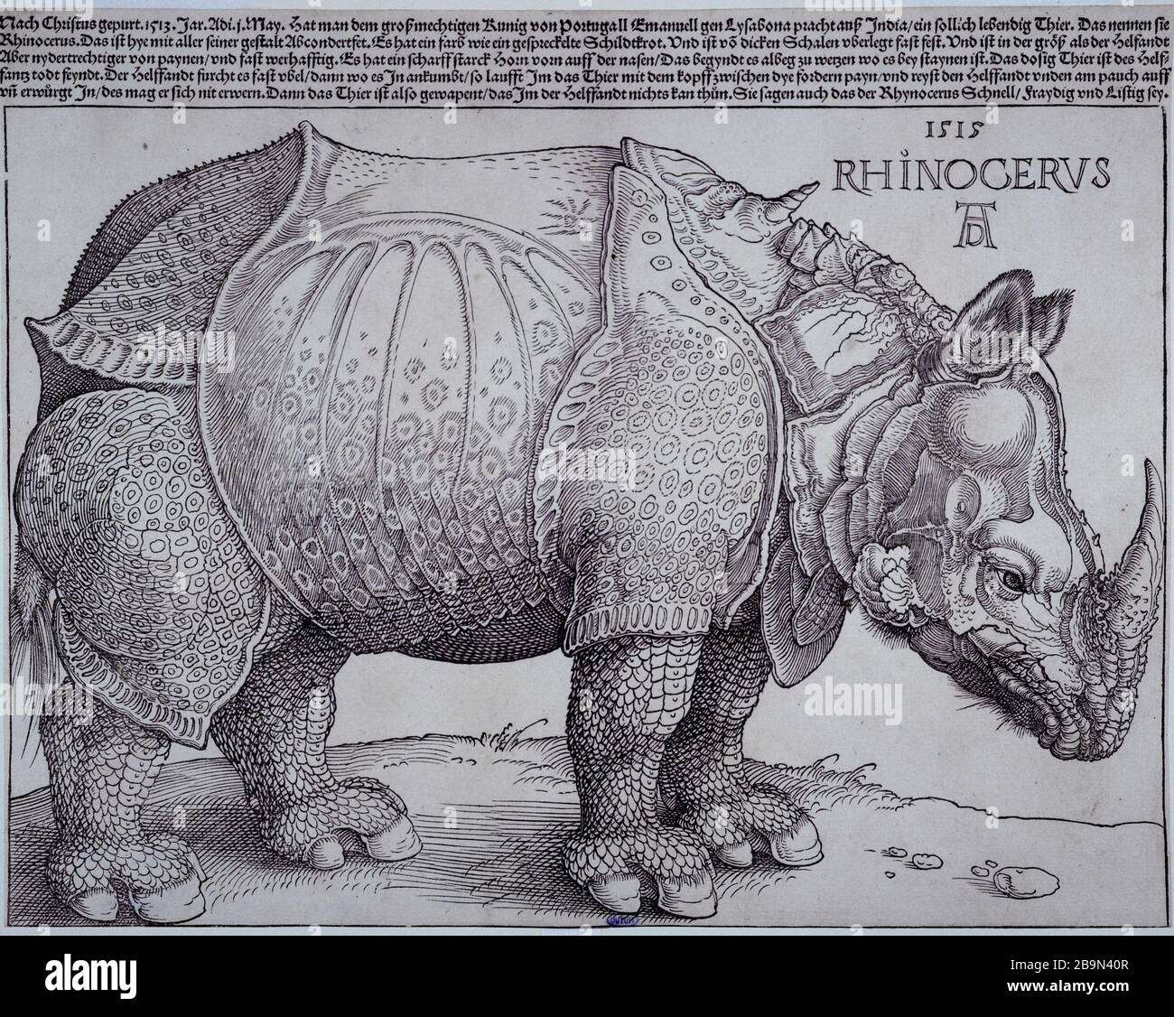 Rhino Bartsch 136 Albrecht Dürer (1471-1528). "Le Rhinocéros Bartsch 136; 2eme édition". Gravure sur bois, 1515. Musée des Beaux-Arts de la Ville de Paris, Petit Palais. Foto Stock