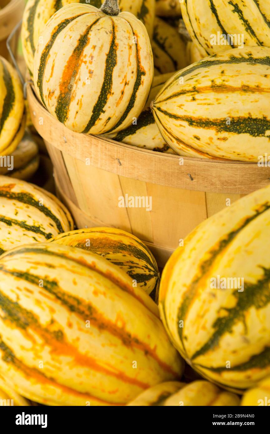 Squash invernale, mercato agricolo di Santa Barbara, Santa Barbara, California Foto Stock