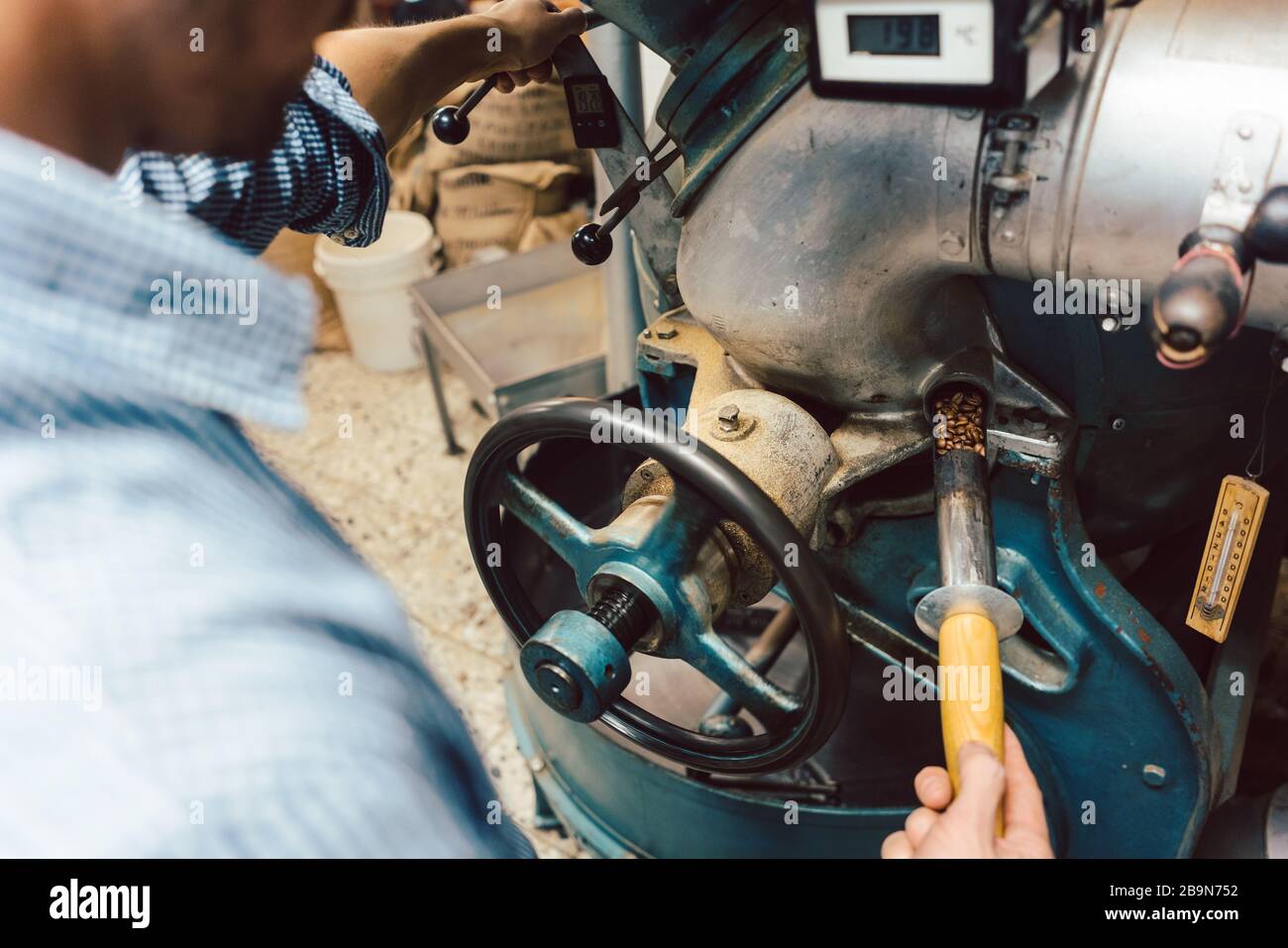 Tostiera del caffè che esegue il test di colore su un campione di chicchi Foto Stock
