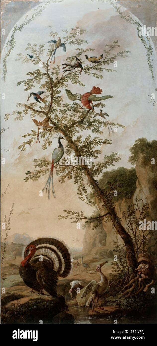 Pannelli decorativi di animali, lupo e uccelli in un paesaggio Jean Pillement (1728-1808). "Panneau décoratif à sujets d'animaux, loup et oiseaux dans un paysage". (Commandé en 1765 par le roi de Pologne, Stanislas Auguste Poniatowski pour son neveu le Comte Michel Mnizech, Grand Maréchal de la Couronne) entre 1765 et 1767. Huile sur toile. Musée des Beaux-Arts de la Ville de Paris, Petit Palais. Foto Stock