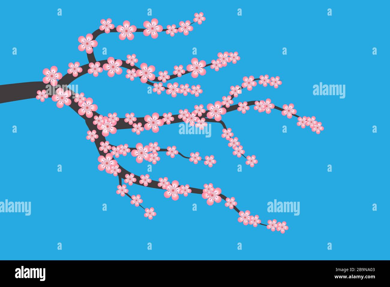 Fiori di ciliegio su rami isolati su sfondo blu. Piatto sakura Giappone ciliegia ramo con fiore fiori illustrazione vettoriale. Primavera Illustrazione Vettoriale