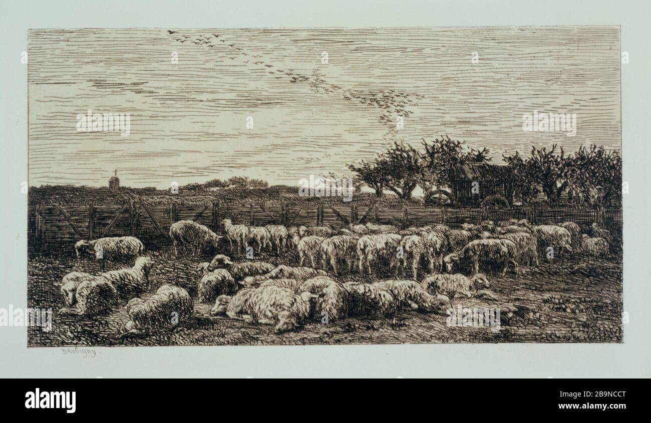 Fold Charles-François Daubigny (1817-1878). "Parc à moutons". Eau-forte sur papier vergé de Hollande filigrané. 1860. Musée des Beaux-Arts de la Ville de Paris, Petit Palais. Dimensioni : feuille : H 53,2 x l 36,5 cm Foto Stock