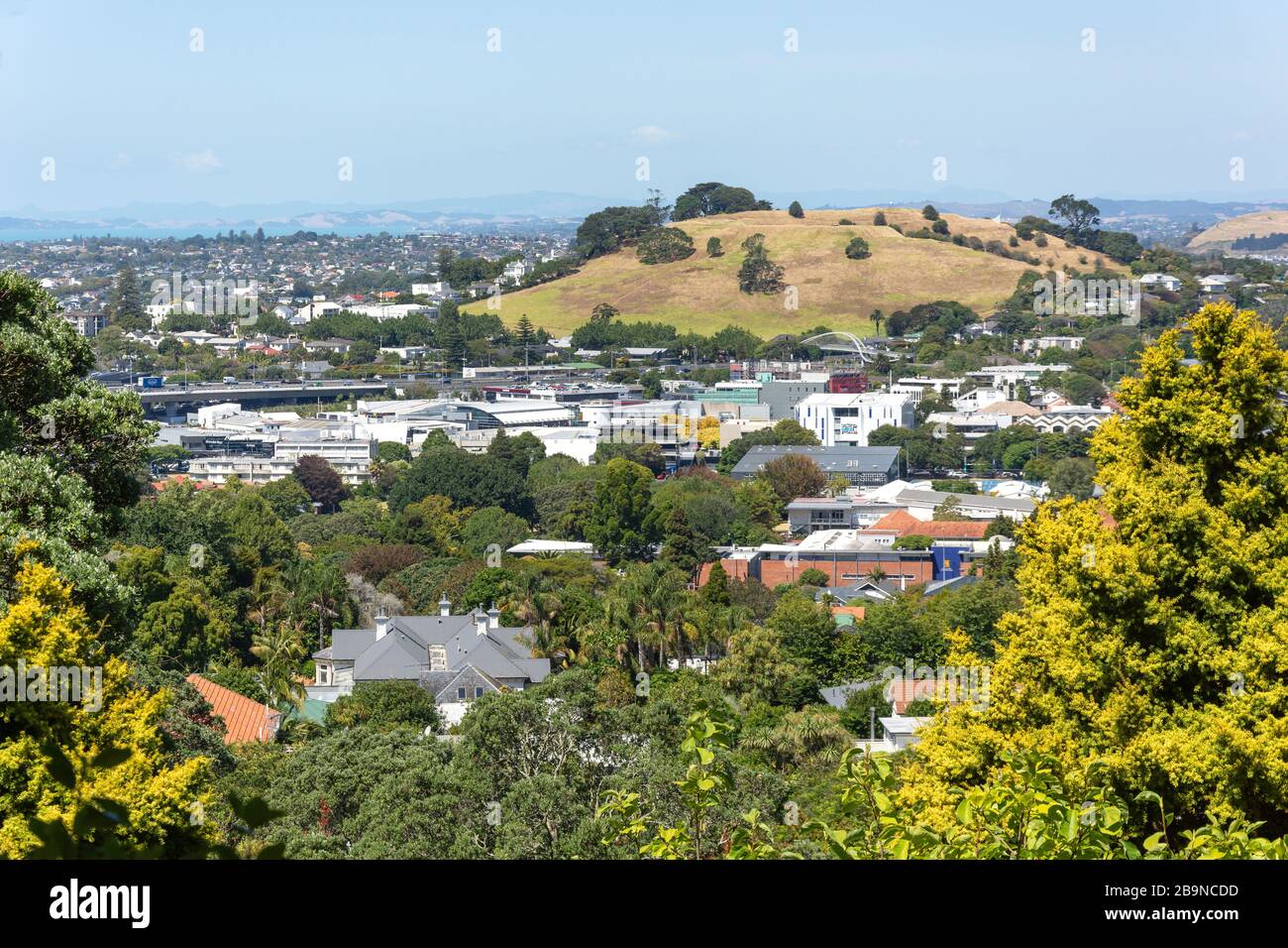 Monte Hobson (Ohinerau) e sobborgo di Epsom dalla cima del Monte Eden, Mt Eden, Auckland, Nuova Zelanda Foto Stock