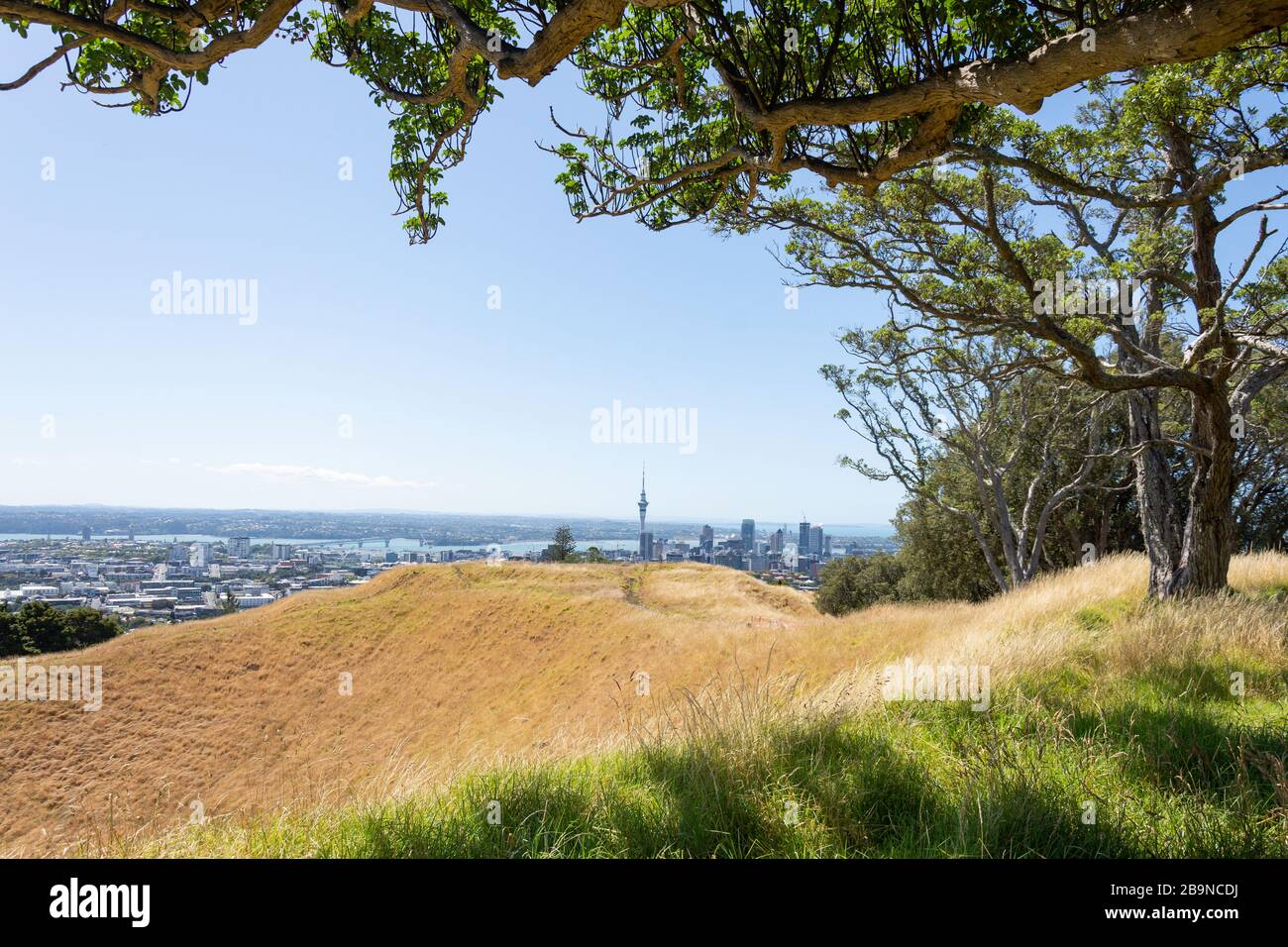 Auckland CBD da Mount Eden (Maungawhau), Mount Eden, Auckland, Nuova Zelanda Foto Stock