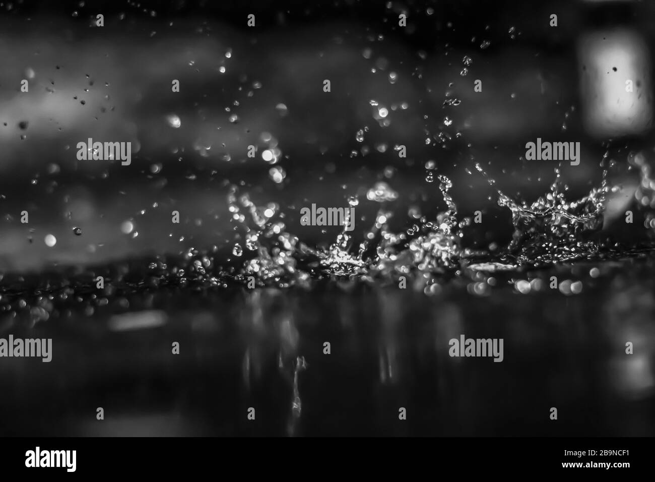 Gocce d'acqua al buio all'esterno. Bianco e nero. Foto Stock