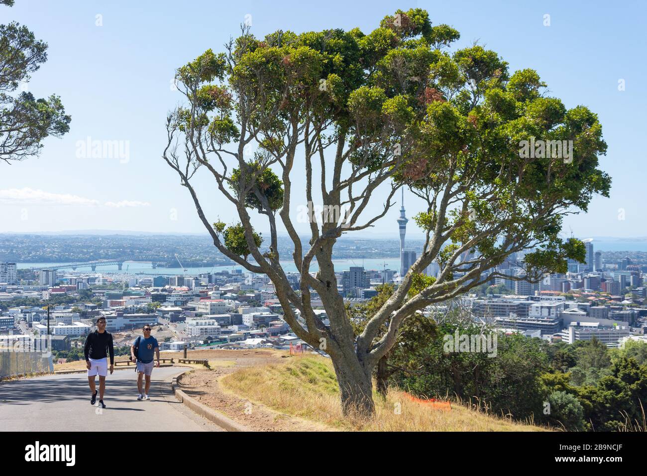 Road to Mount Eden (Maungawhau) Summit, Mount Eden, Auckland, Nuova Zelanda Foto Stock