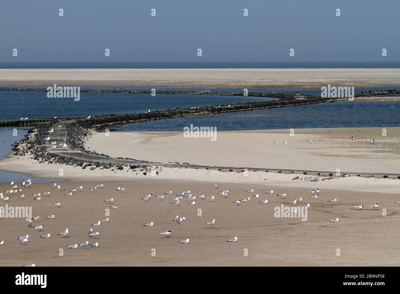 Sistemi di piste sabbiate sulla centrale elettrica Minsener Oog, Parco Nazionale del Mare di Wadden bassa Sassonia, bassa Sassonia, Germania Foto Stock