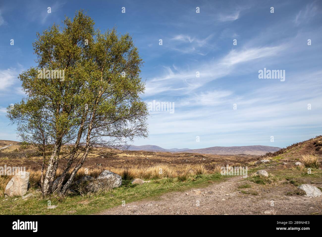 Paesaggio rurale vicino a Beinn Chorach, Highlands, Scozia, Regno Unito Foto Stock