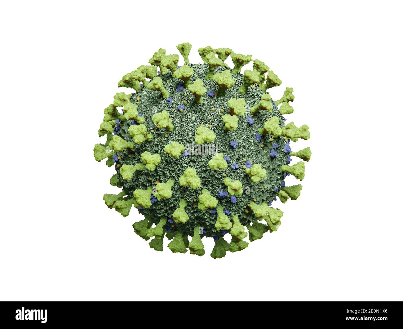 Struttura molecolare di un virus dell'influenza corona verde COVID-19 - Illustrazione 3D su sfondo bianco Foto Stock