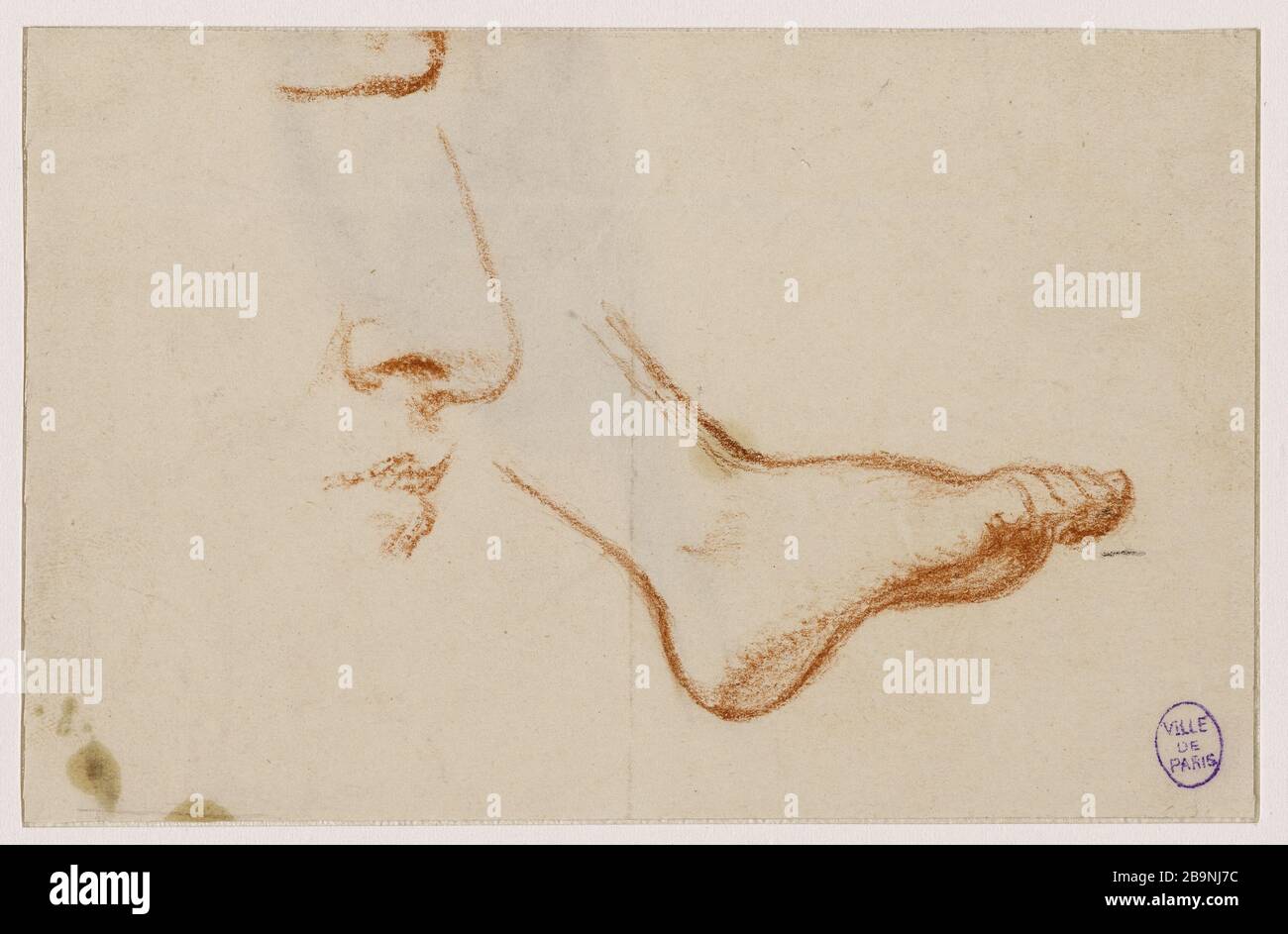 Studio di un piede destro, un naso e un profilo della bocca Narcisse Diaz de la pena (1807-1876). Etude d'un pied droit, et du profil d'un nez et d'une bouche. Sanguine sur papier. Musée des Beaux-Arts de la Ville de Paris, Petit Palais. Foto Stock