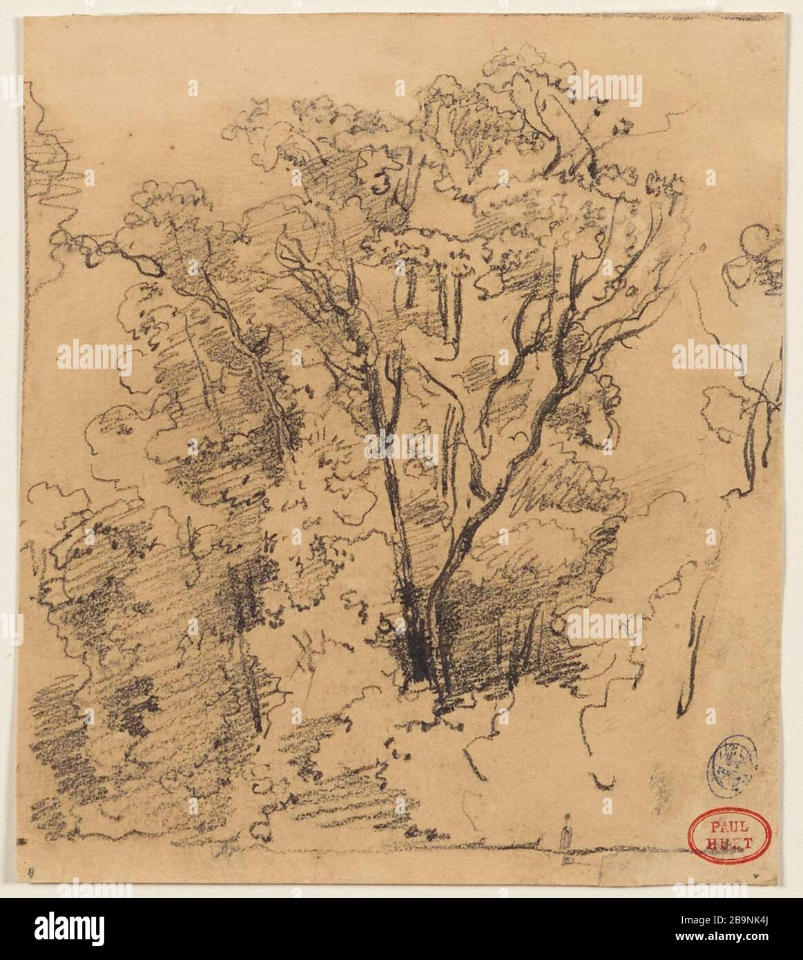 Studio degli alberi a Les Ormes de Saint-Cloud Foto Stock