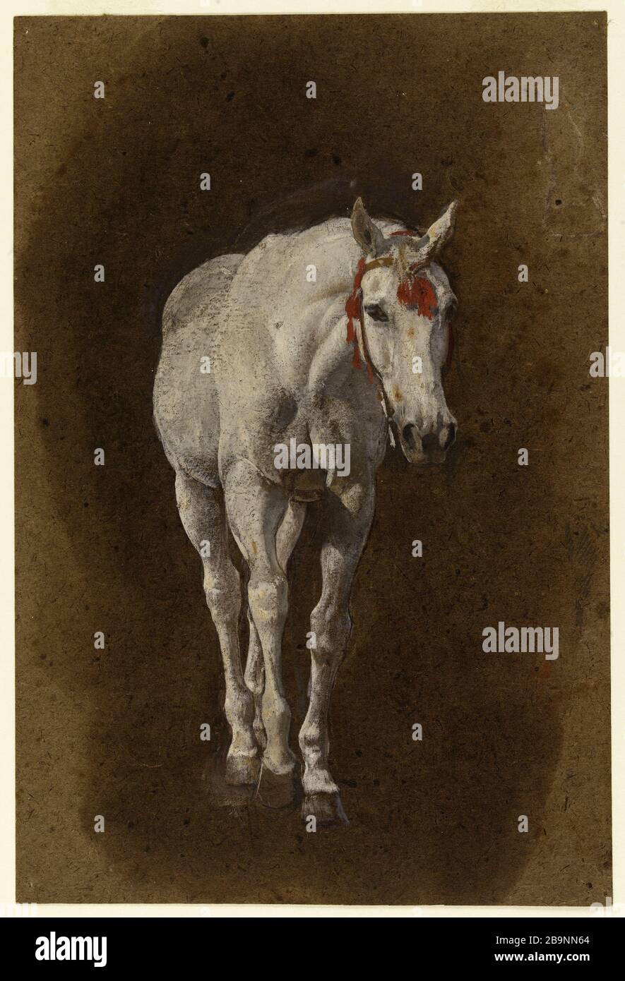 Cavallo Léon Bonnat (1833-1922). Cheval. Gouache sur traits de crayon Conté sur papier. Musée des Beaux-Arts de la Ville de Paris, Petit Palais. Foto Stock