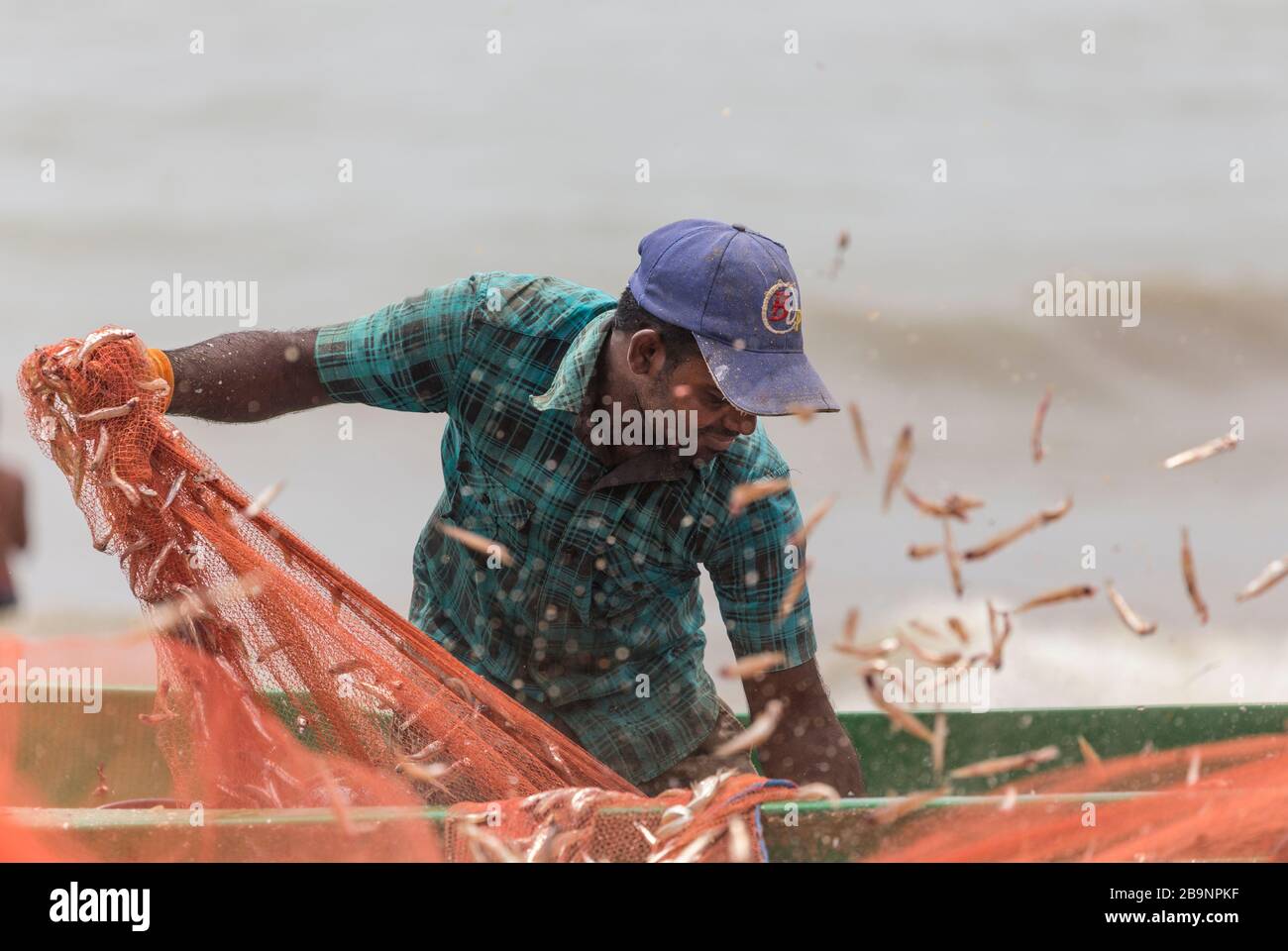 Uomo con rete da pesca al mercato del pesce di Negombo, Sri Lanka Foto Stock