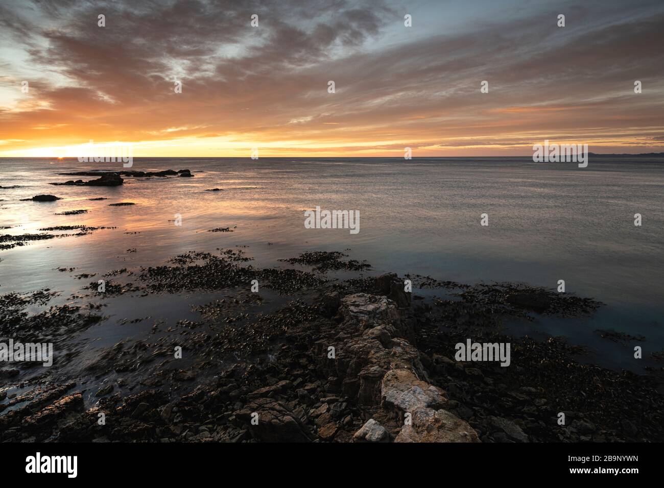 Bellissima alba sul mare da Shag Point, Nuova Zelanda. Mostra in primo piano una roccia dove le foche della Nuova Zelanda riposano. Sull'acqua galleggia il Foto Stock