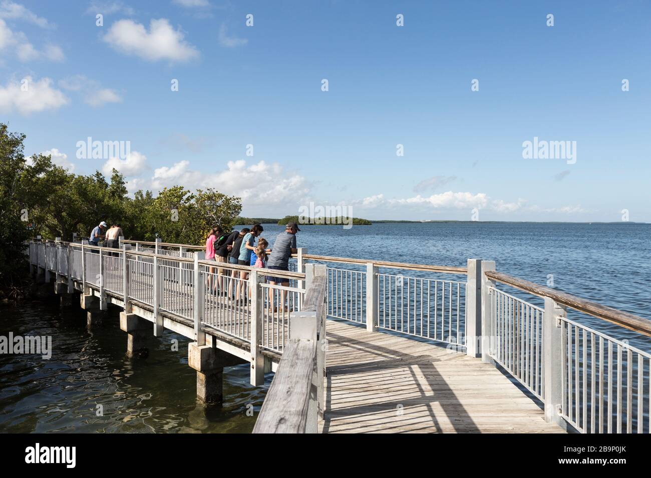 La gente guarda verso il basso l'acqua dal lungomare di Convoy Point nel Parco Nazionale di Biscayne a Homestead, Florida, Stati Uniti Foto Stock