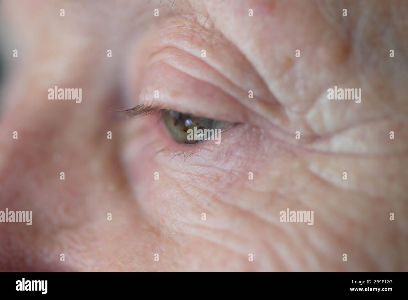 Primo piano dell'occhio della donna anziana Foto Stock