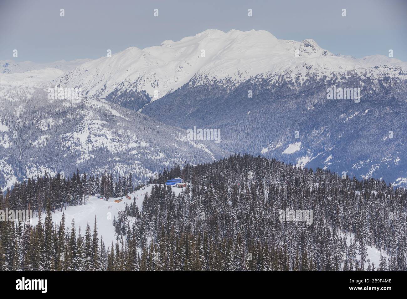 Whistler Foto Stock