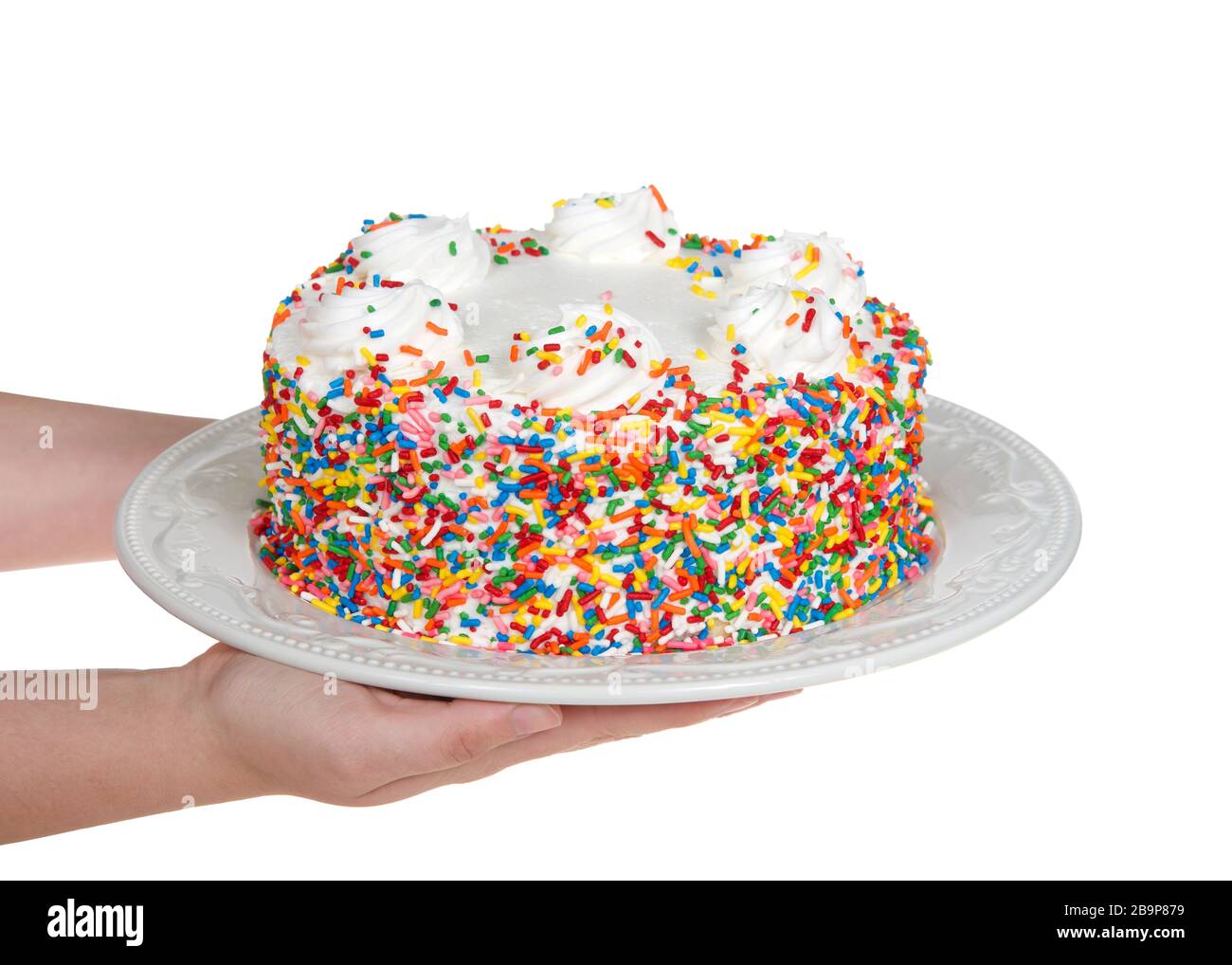 Mani caucasiche giovani che tengono una torta alla vaniglia con panna  montata glassa ricoperta di caramelle spruzzate su una piastra di  porcellana isolata su bianco. Bi festivo Foto stock - Alamy