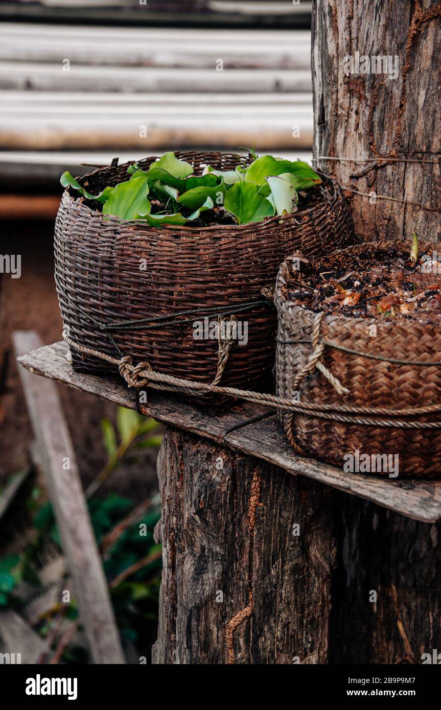 Stile asiatico cesto di vimini di bambù uso di rattan come pentola di pianta per la campagna rurale casa decorazione gartden Foto Stock