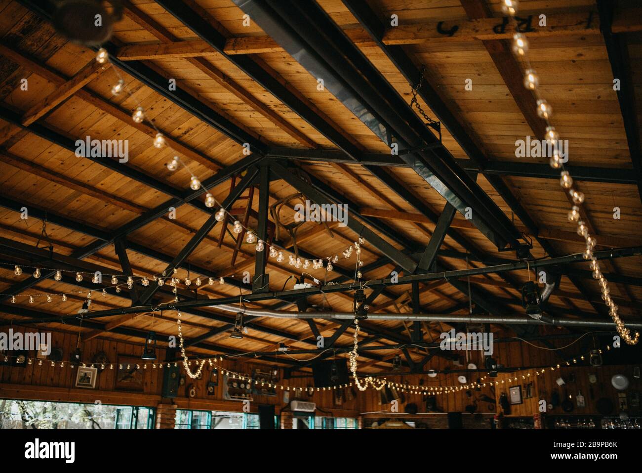 Speciale decorazione magica e luminosa per feste Foto Stock