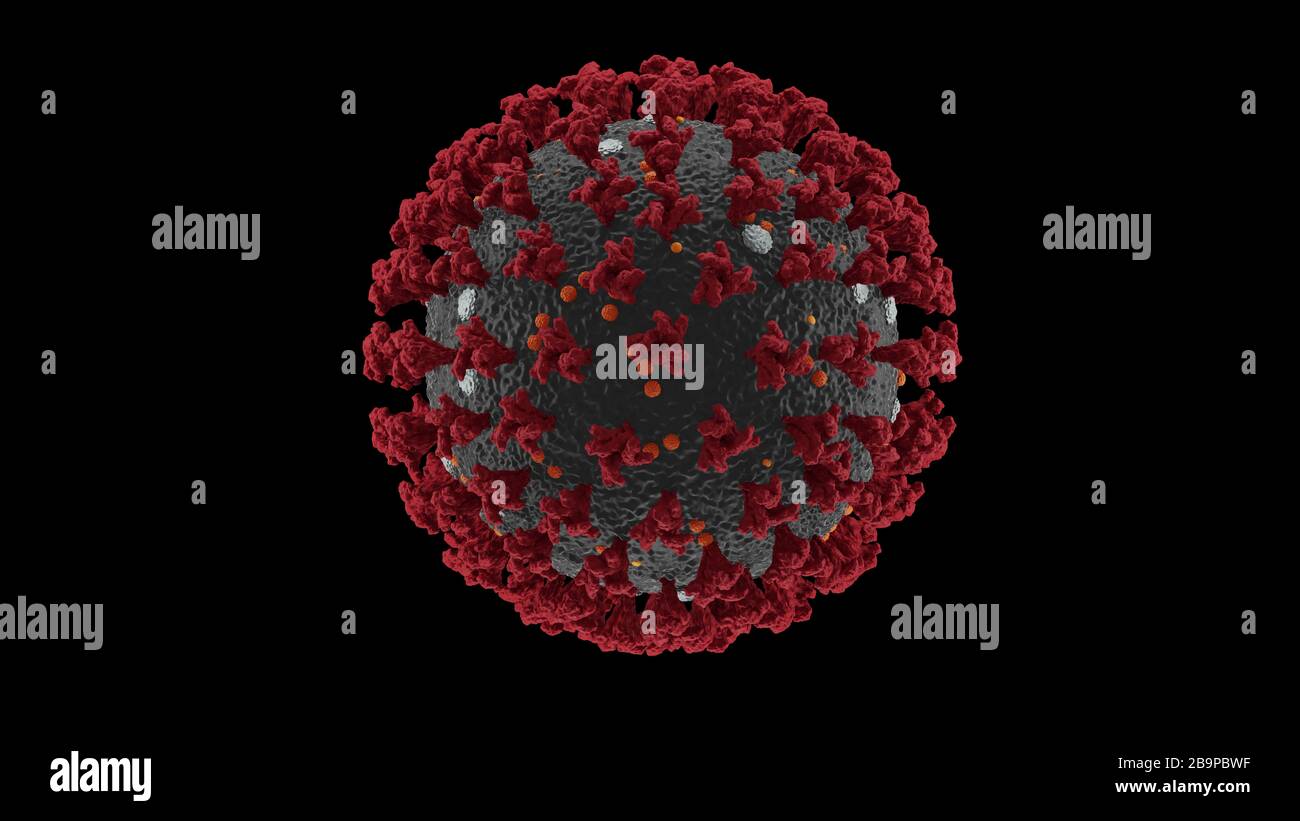 Struttura 3D del coronavirus illustrazione medica con visualizzazione completa della struttura superficiale del virione che ha causato la malattia pandemica COVID-19 Foto Stock