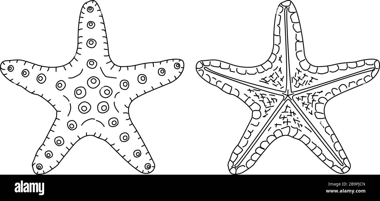 Vettore mare spiaggia oggetto clip art Illustrazione Vettoriale