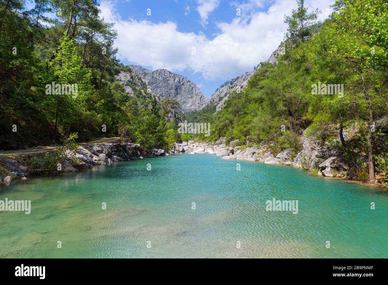 Piccolo stagno sul fiume di montagna in montagna Goynuk Canyon. Paesaggio soleggiato. Kemer Turchia Foto Stock