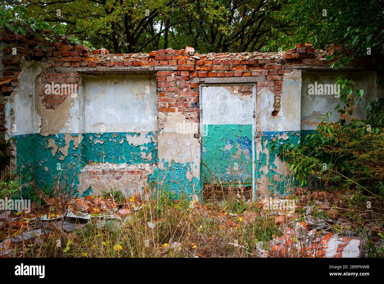 frammento di vecchia casa abbandonata in foresta profonda Foto Stock
