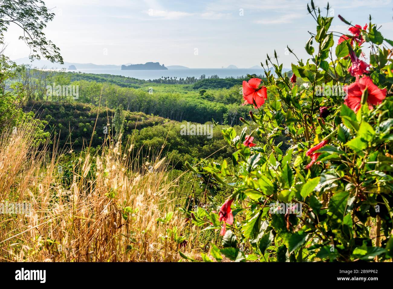 Vista sull'oceano dal punto di vista sull'isola di Ko Yao noi nella baia di Phang-Nga vicino a Phuket, nel sud della Thailandia Foto Stock