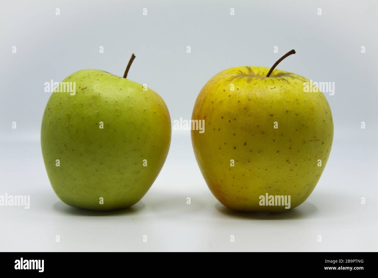 Belle mele polacche. Naturale senza sostanze chimiche Foto Stock