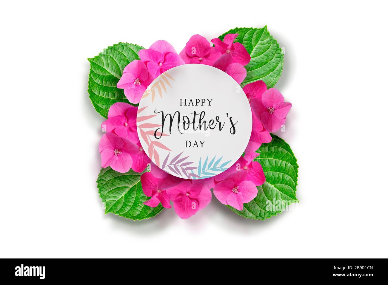 Hydrangea fiore disegno modificabile Foto Stock