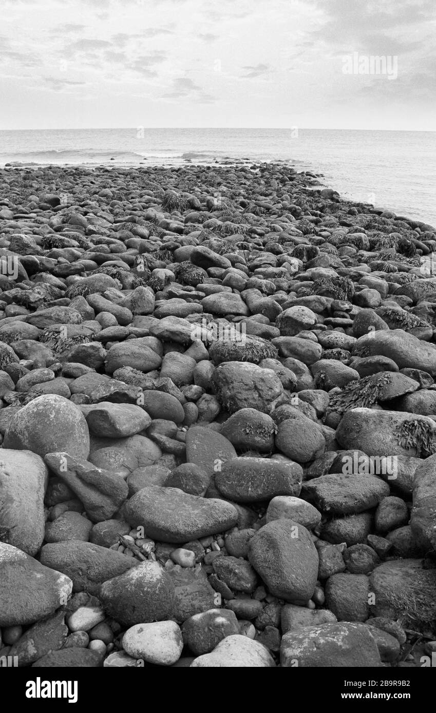 Castle Haven, Reeth Bay: Guardando fuori sul canale inglese in una giornata tranquilla, con grandi massi in primo piano, Isola di Wight, Inghilterra, Regno Unito. Fotografia a pellicola in bianco e nero Foto Stock