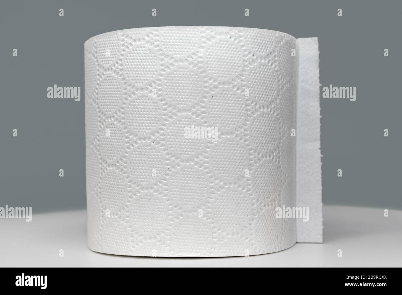 Rotolo di toilette, primo piano di un singolo rotolo isolato su uno sfondo grigio Foto Stock