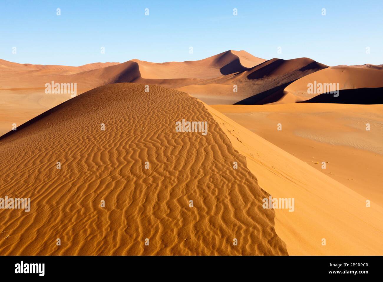 Dune nella zona di Sossusvlei, Namib Naukluft Park, Namibia Foto Stock